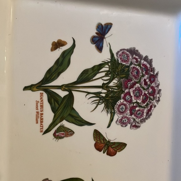 Portmeirion 16 x 10 sandwich tray.  Excellent preloved condition. by Susan Ellis - Picture 2 of 4